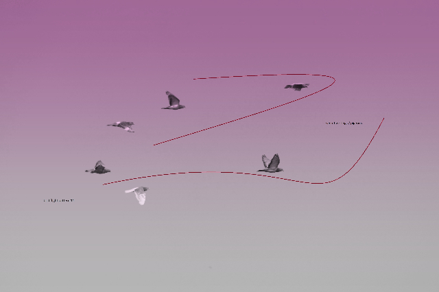 Speaking Aut - SpeakINg