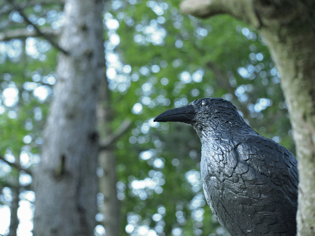 Poetologische Anamnese