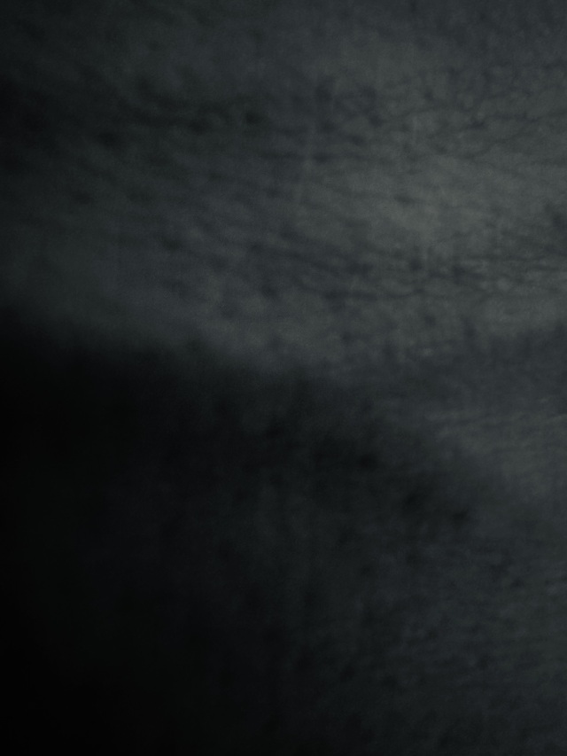 Symptome des Humanen: Hippolyts Leid, Schillers Pathos und eine anthropologische Ästhetik