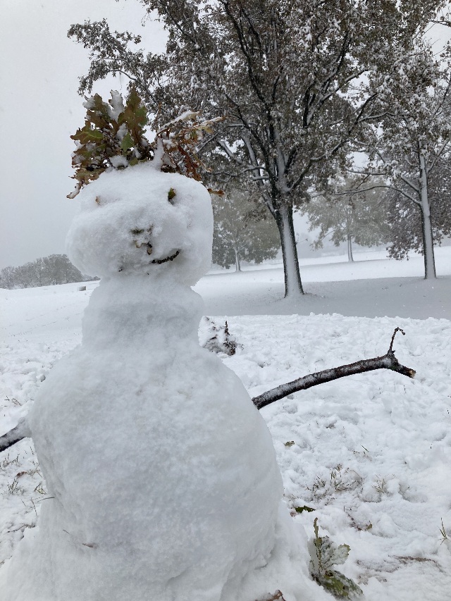 ludic space: Donauinsel