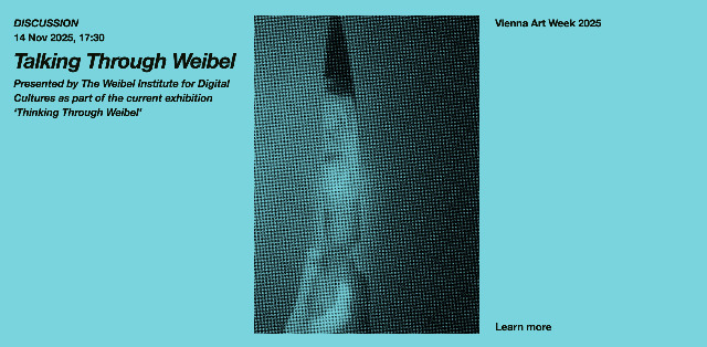 Discussion: Talking Through Weibel