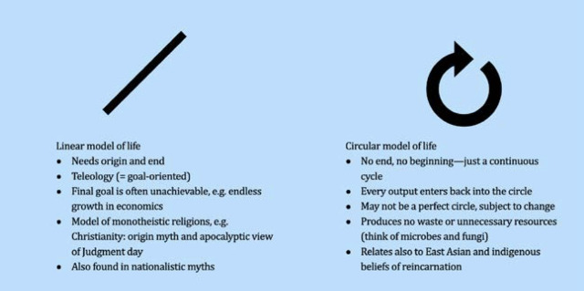 What is Life? A Genealogy of Autopoiesis, Cybernetics, and Bio-politics