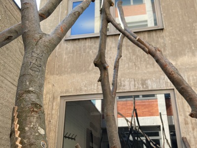 Conceptual Joining, From Detail To Utopia