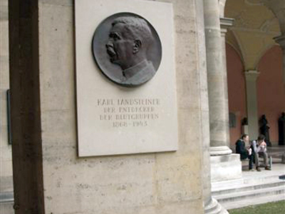 Discovering the neighbourhood, Stadtgeschichten erkunden