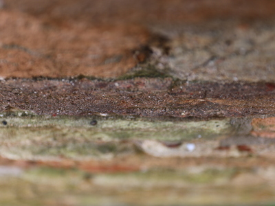 N-Arteaga-20190510-0940-Venice, Contingent Agencies