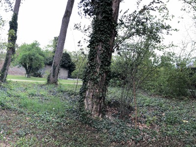 20220427-1443-Vienna, Contingent Agencies