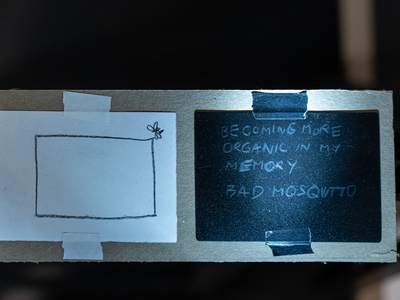 N-Ruth-20211005-1120-Vienna, Contingent Agencies