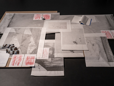 N-SixPetritsch-20211005-1115-Vienna, Contingent Agencies