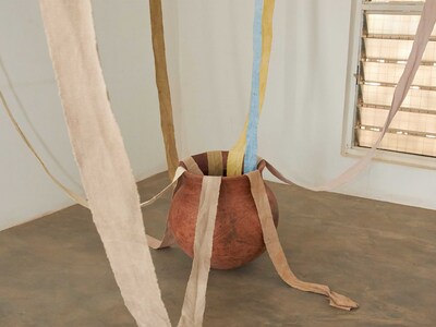 Colours of the Savannah