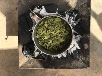 Plant Dye Archive for Nubuke Foundation / Ghana